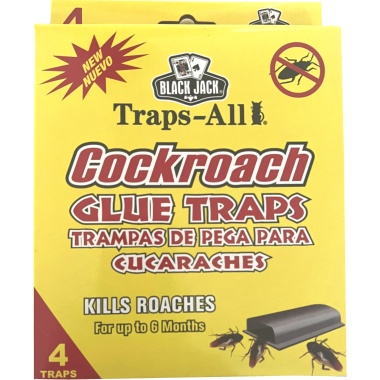Cockroach Tunnel Trap