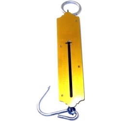 Weighing Scale 50Kg/112LBS