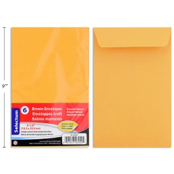 ENVELOPES BROWN 6X9 6/PKG 95GMS"