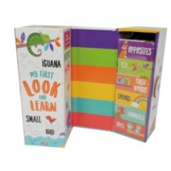 My First Look & Learn 6 Tiny Books